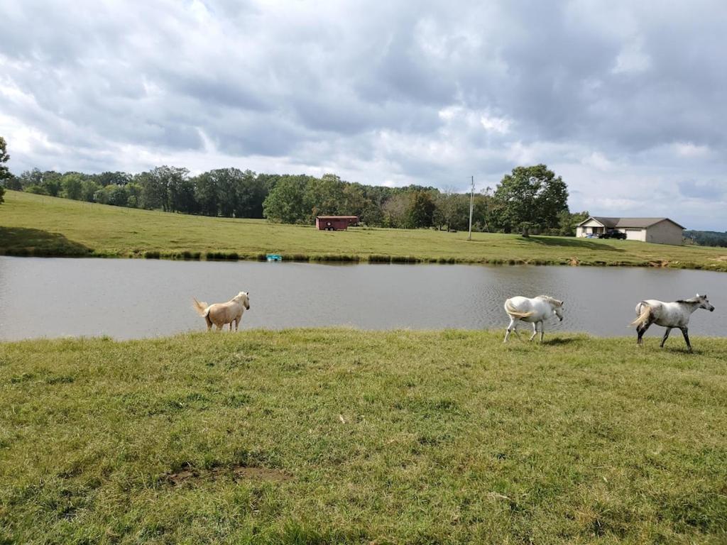 Holiday home Secluded House On 60 Acres Close To Fall Creek Falls